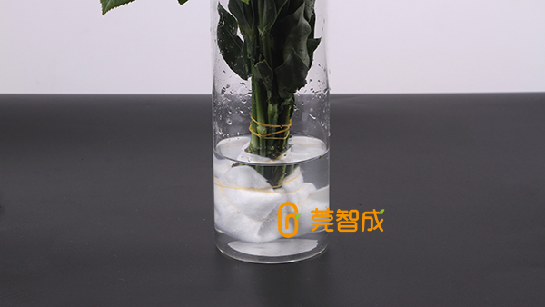 鲜花怎么保水？教你一个便捷招