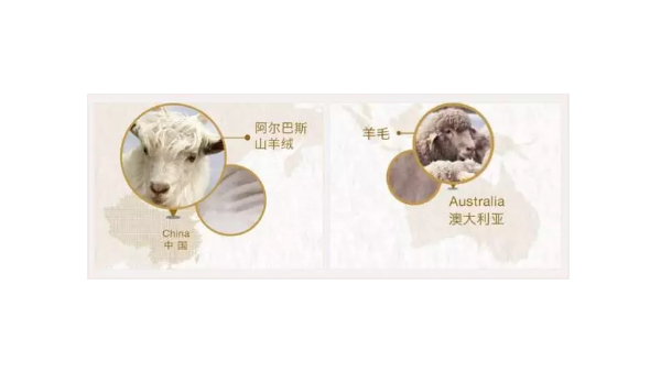 天冷了，羊毛和羊绒到底有什么区别？90%的人都不知道！
